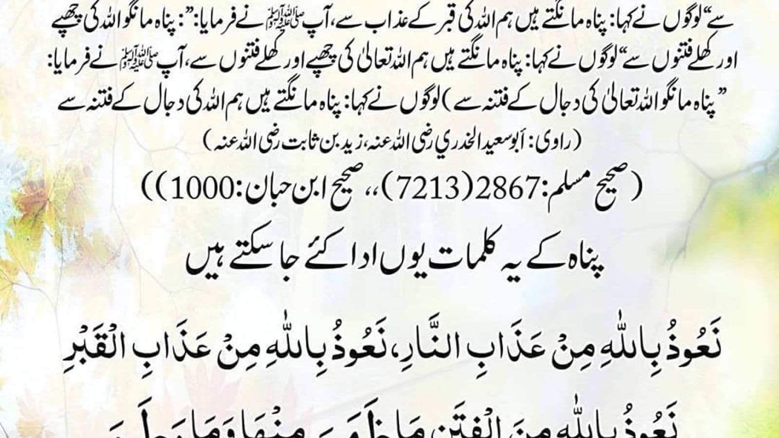 وبائی امراض اور نبوی تعلیمات