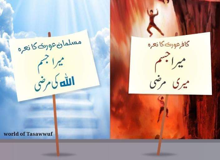 میرا جسم میری مرضی